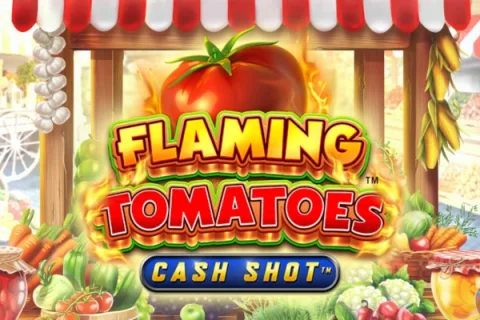 Flaming Tomatoes Cash Shot – a játék képe