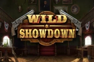 Wild Showdown – a játék képe