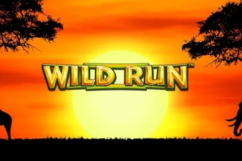 Wild Run – a játék képe