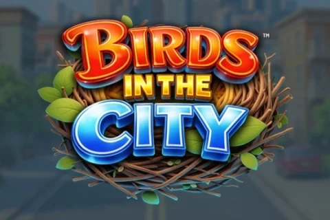 Birds in the City – a játék képe