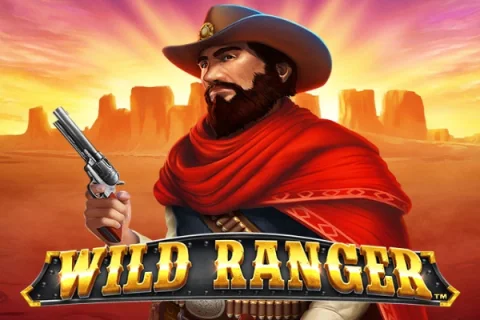 Wild Ranger – a játék képe