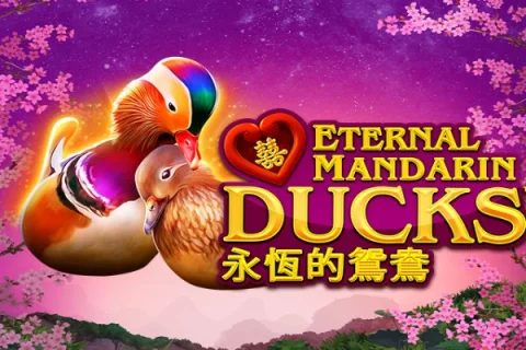 Power Prizes – Eternal Mandarin Ducks – a játék képe