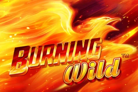 Burning Wild – a játék képe