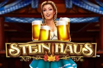 Stein Haus – a játék képe
