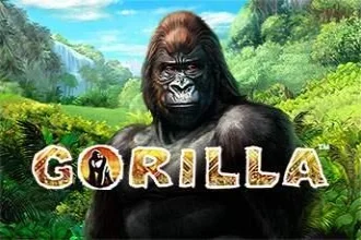 Gorilla – a játék képe