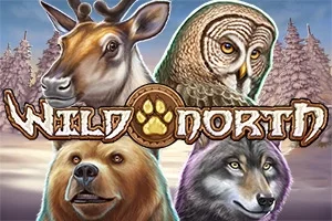 Wild North – a játék képe