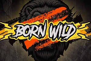 Born Wild – a játék képe