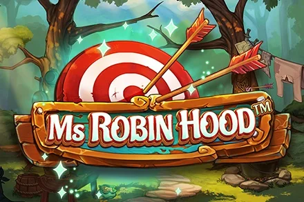 Ms Robin Hood – a játék képe